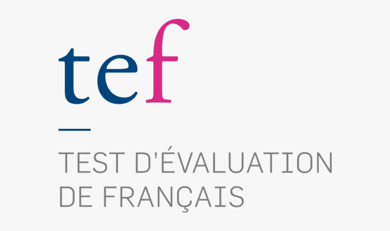 242-2423707_tefaq-french-exam-hd-png-download-768x455